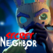 Secret Neighbor