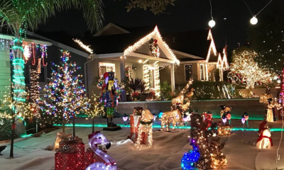 Candy Cane Lane Screenshot №4