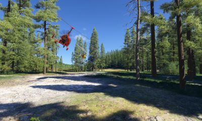 Microsoft Flight Simulator 2024 Screenshot №14