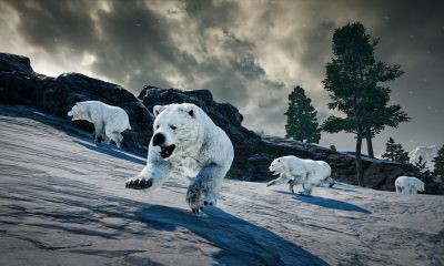 PUBG: BATTLEGROUNDS Screenshot №15