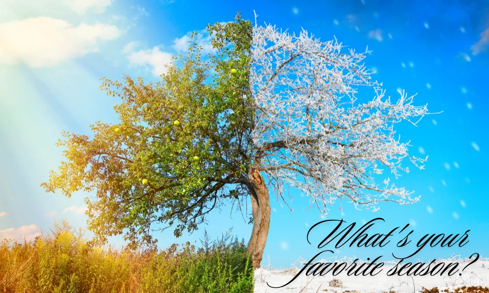 What's your favorite season?