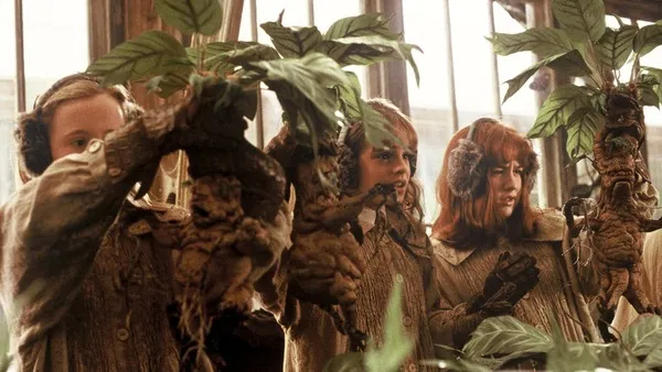 Which activity appeals to you most?