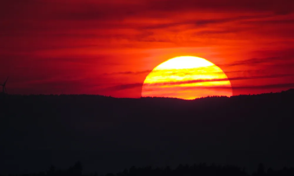 What's your favorite time of day?